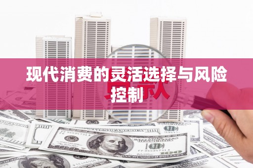 高淳现代消费的灵活选择与风险控制