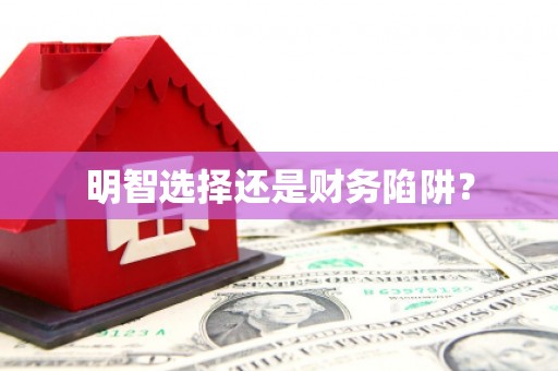 竹塘明智选择还是财务陷阱？