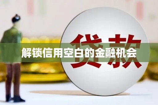 王益解锁信用空白的金融机会