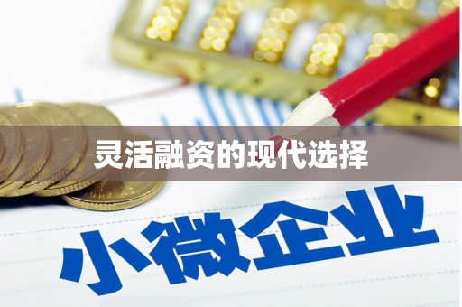 自贡灵活融资的现代选择
