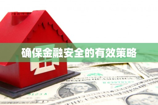 增城确保金融安全的有效策略