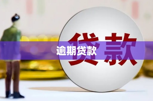 吴忠逾期贷款