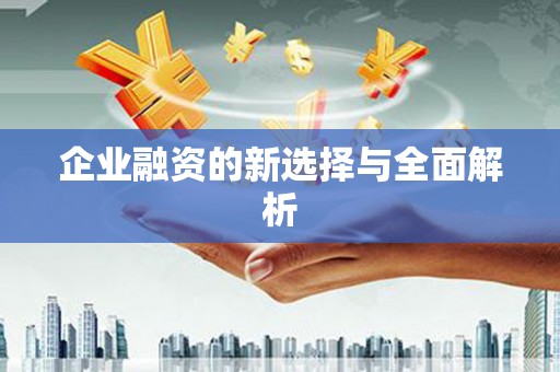 莱西企业融资的新选择与全面解析