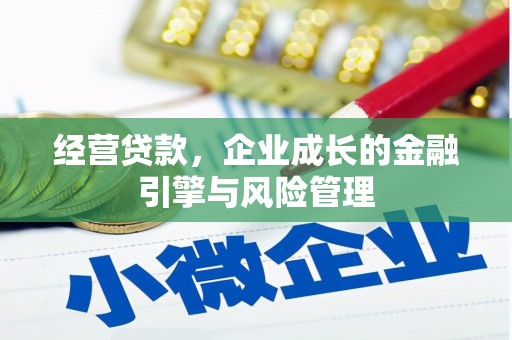 台南经营贷款，企业成长的金融引擎与风险管理