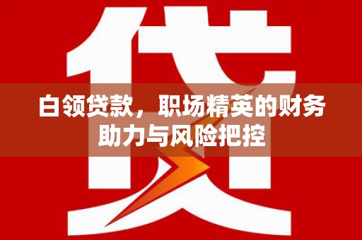 镇雄白领贷款,职场精英的财务助力与风险把控 镇雄白领贷款,职场精英的财务助力与风险把控